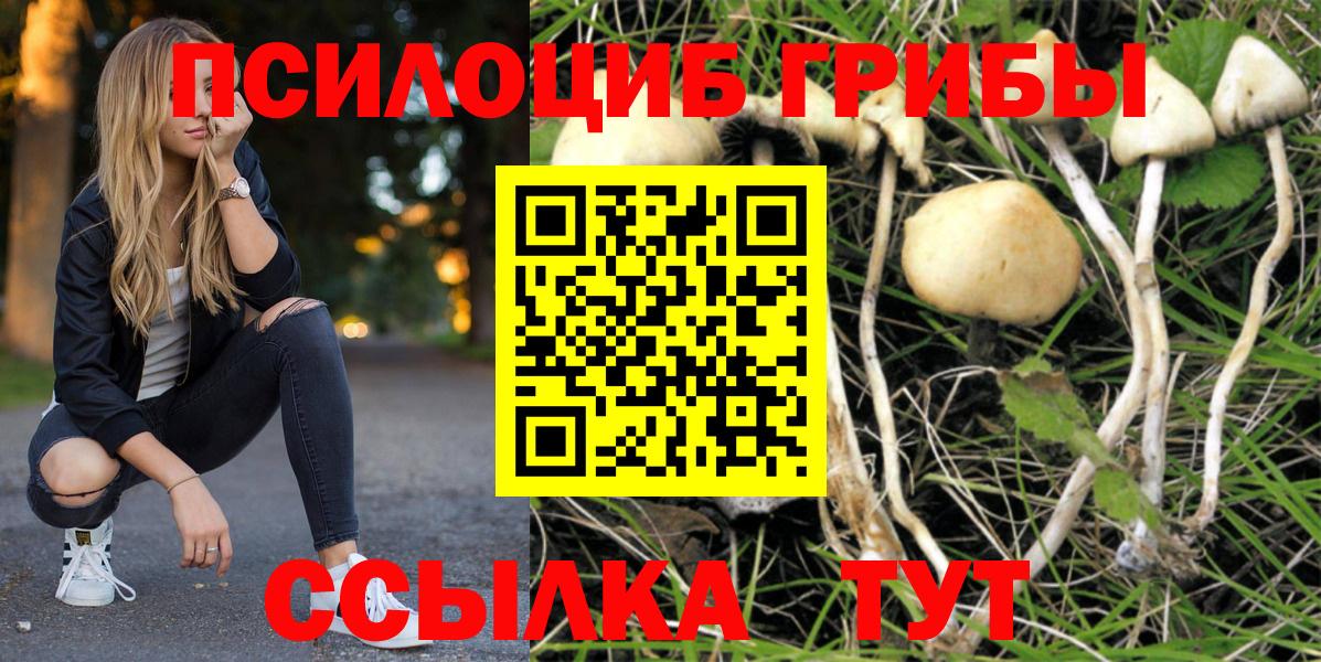 Псилоцибиновые грибы GOLDEN TEACHER Тимашёвск